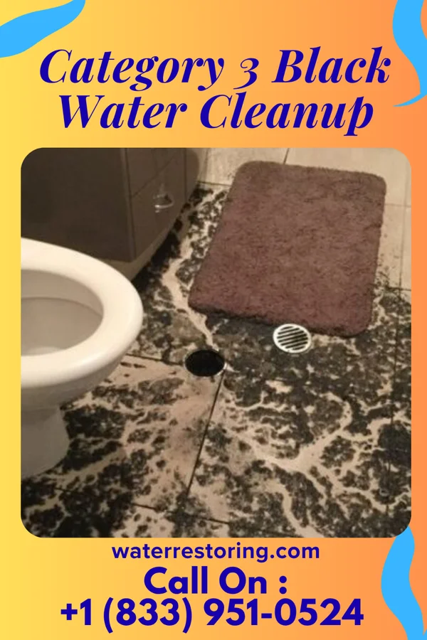 Category 3 Black Water Cleanup in Oostburg, WI