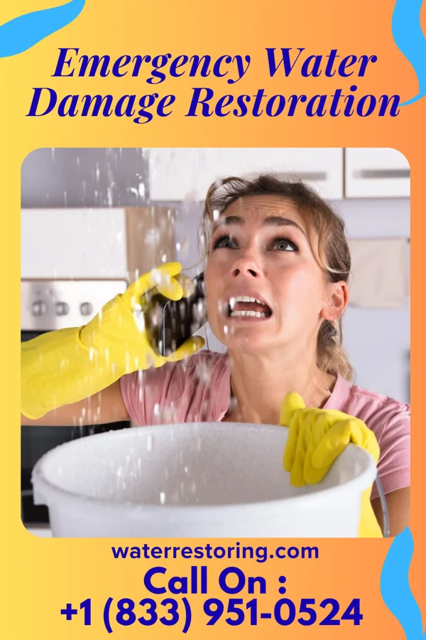 Emergency Water Damage Restoration in Oostburg, WI