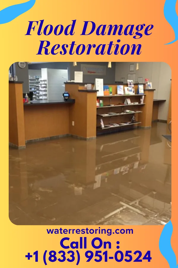 Flood Damage Restoration in Oostburg, WI