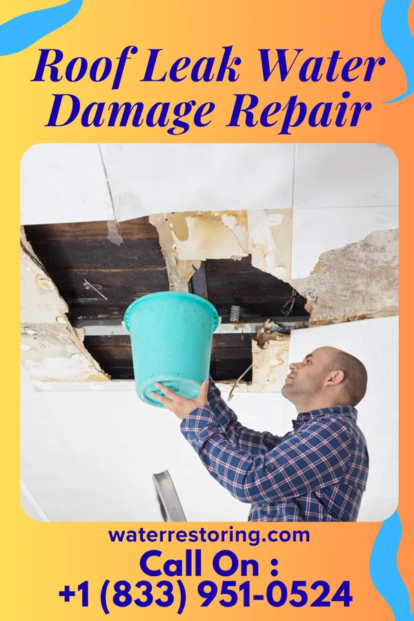 Roof Leak Water Damage Repair in Oostburg, WI