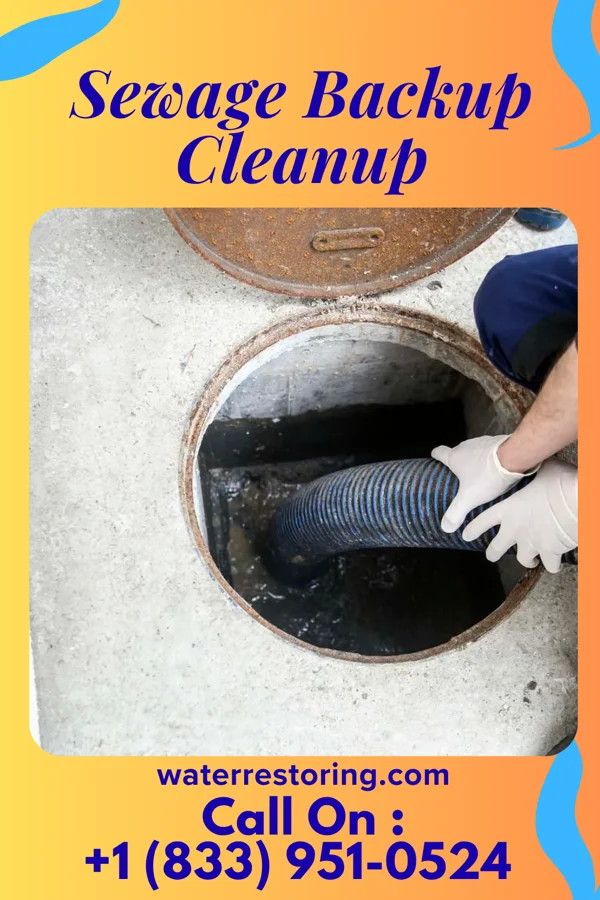 Sewage Backup Cleanup in Oostburg, WI