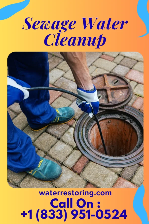 Sewage Water Cleanup in Oostburg, WI